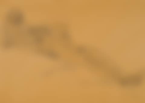 Liegender Akt (preview)