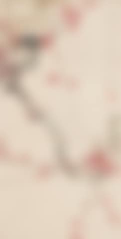 Red Plum; Red Plum (preview)