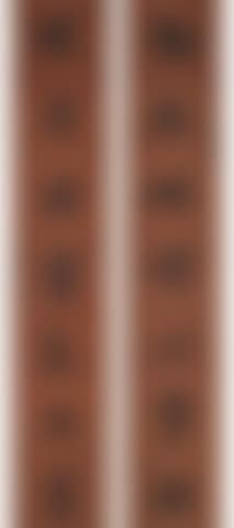 Couplet of Calligraphy in Running Script (preview)