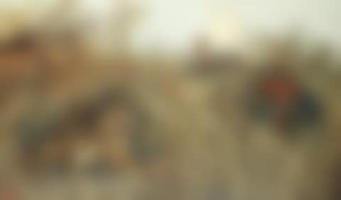 The tiger hunt (preview)