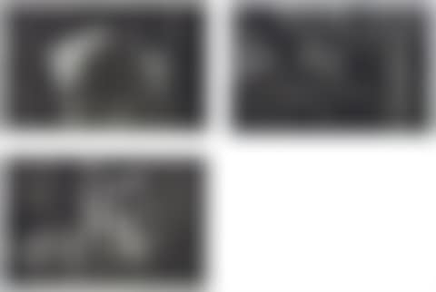 Study of Polar Bear (Bresson's au hasard Balthazar) #1; Study of Tiger (Bresson's au hasard Balthazar) #2; Study of Monkey (Bresson's au hasard Balthazar) #3 (preview)