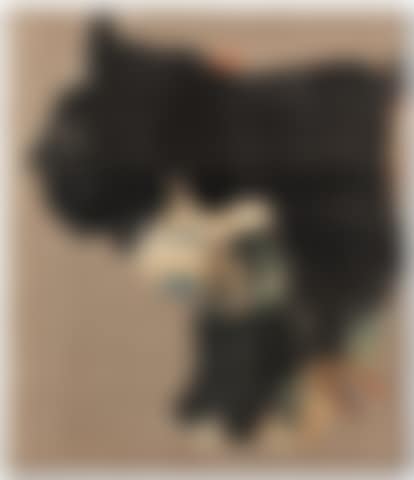 RAP (preview)