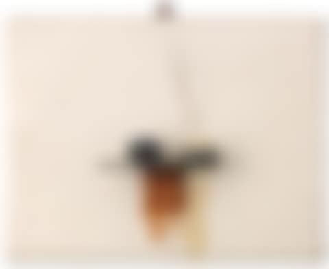 Untitled (preview)