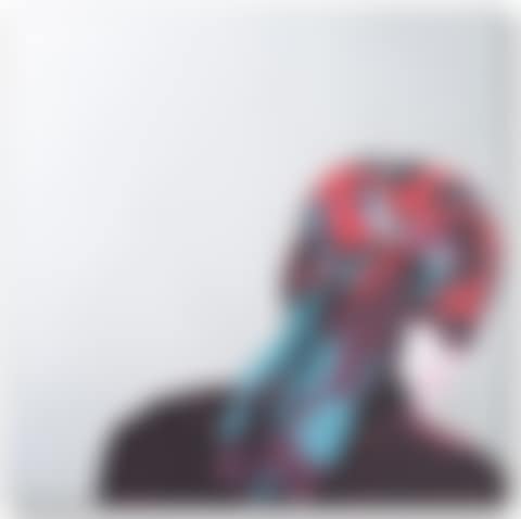 Testa con foulard (preview)