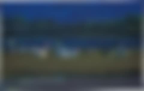 Untitled (Park Scene) (preview)
