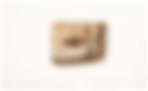 LARGE ALBUM (preview)