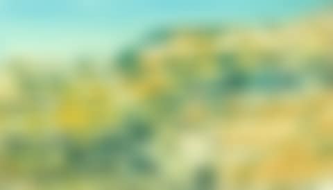 ARIZONA (preview)