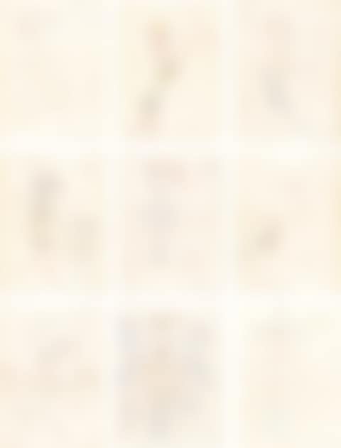 AN ALBUM OF 19 DRAWINGS INCLUDING A STUDY FOR LA GONDOLE DES MORTS (preview)