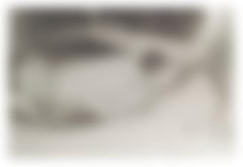 WHY I GOT INTO ART (VASELINE MUSES) NO.23 (preview)