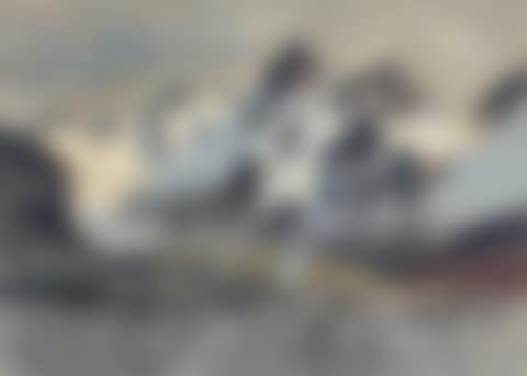 The Whaling Station, Leith Harbour, South Georgia (preview)