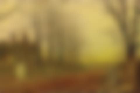 Autumn Glory (preview)