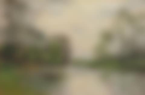 Les bords de la Marne (preview)