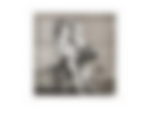Artist's Choice Portfolio (preview)