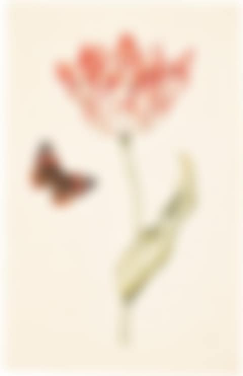 TWO TULIPS WITH BUTTERFLIES (preview)