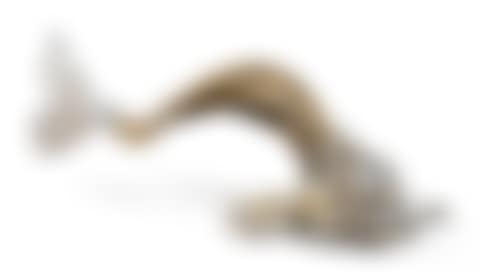 DELFINO (preview)