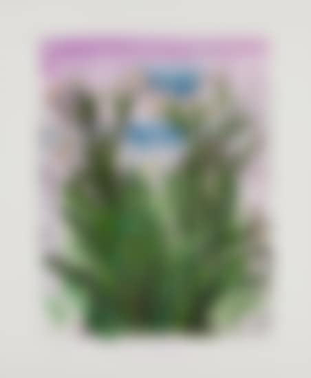The History of Gardening series: Plate III (preview)