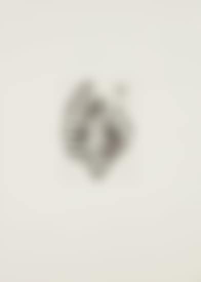 Untitled (Maggot), from Anatomy portfolio (preview)
