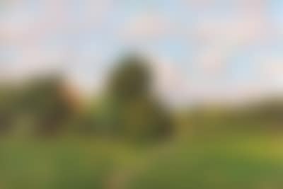 Open Summer Landscape (preview)