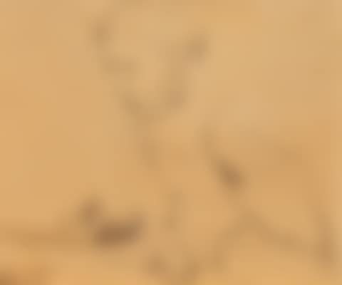 Schreibender Junge (preview)
