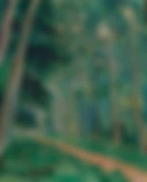 Chemin forestier (preview)