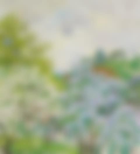 Paesaggio primavera Stampa (preview)