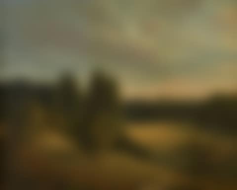 Light effect on a wooded meadow (preview)