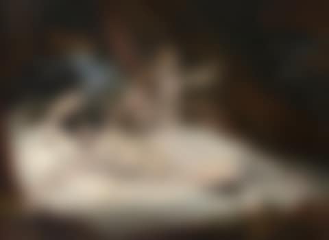 Venus and Love (preview)