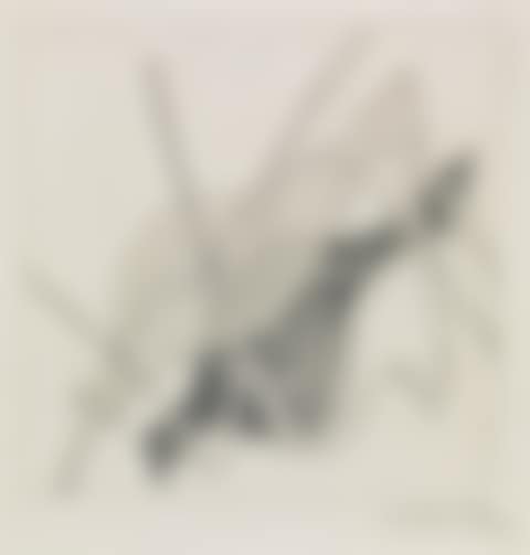 Composition (preview)