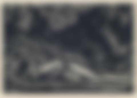Forest Pool (preview)