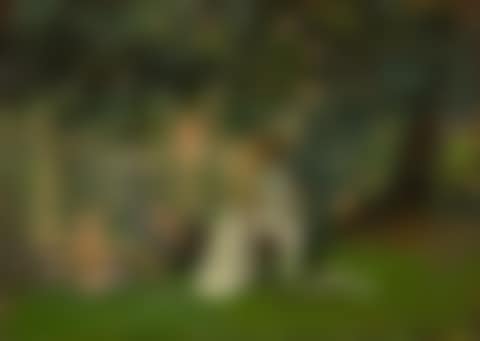 UNDER THE TREES, RANELAGH (preview)