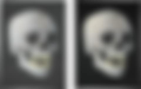 FOR THE LOVE OF GOD, LAUGH; AND FOR THE LOVE OF GOD THE DIAMOND SKULL (TWO WORKS) (preview)