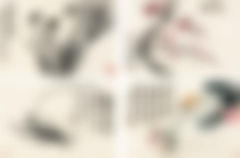 FLOWERS AND BIRDS (preview)