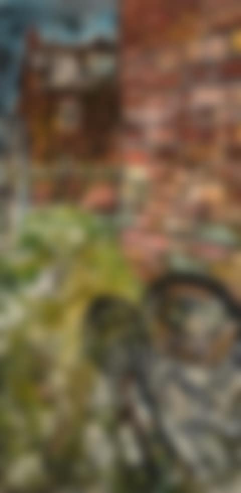 BACKYARD WITH HOUSE AND RUBBISH (preview)
