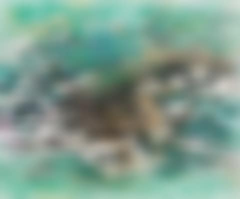 Spring Colour in Movement: Jiuzhaigou Series No. 5 (preview)