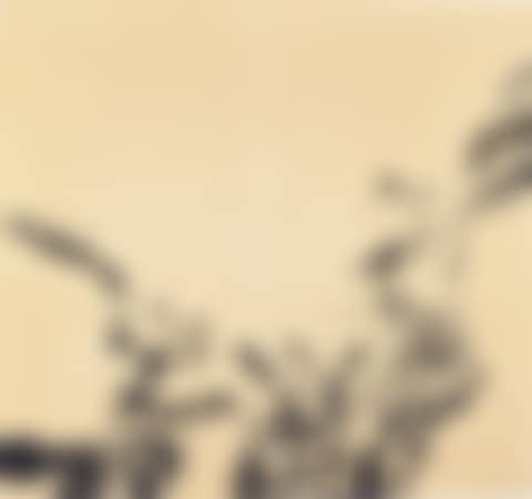 UNTITLED (preview)
