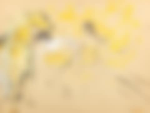 Scène du cirque (fond jaune) (preview)