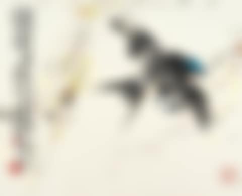 Swallow (preview)