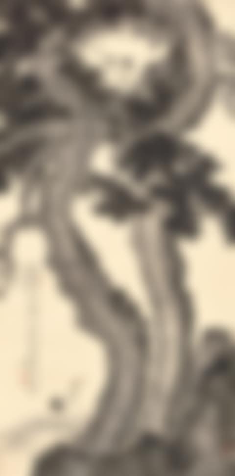 WHITE CRANES BY LONGEVITY PINES (preview)