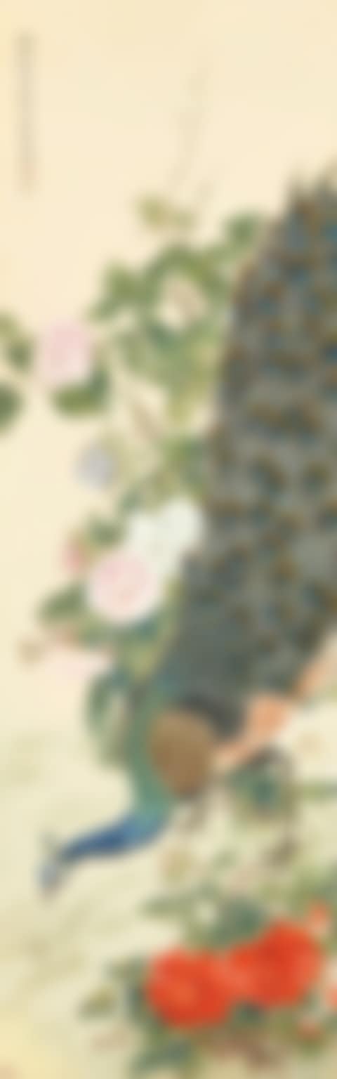 PEACOCK AMID PEONY GROVE (preview)