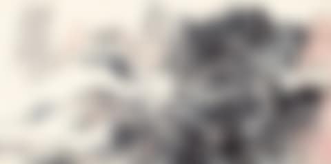 LOFTY MOUNTAINS IN THE CLOUDS (preview)