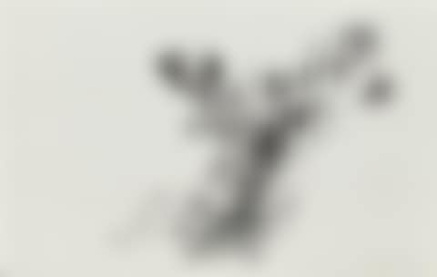 COMPOSITION 27 (preview)