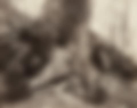 ST. CLOUD (ARBRE) (preview)