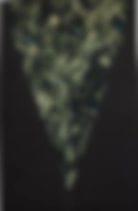 DARK FIRES (preview)