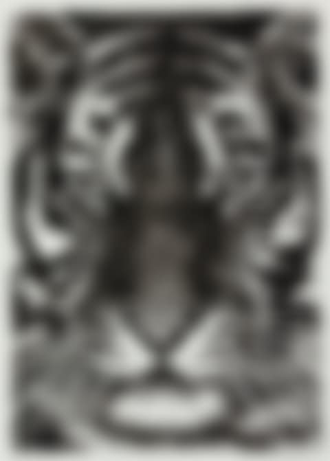 TIGER HEAD 5B (preview)