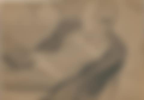ALL AMERICAN NUDE (preview)