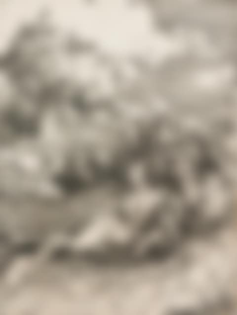 THE SEA MONSTER (B. 71; M., HOLL. 66) (preview)