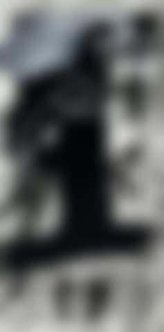 Totem (preview)