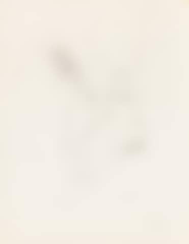 Etude pour Claquemur (preview)
