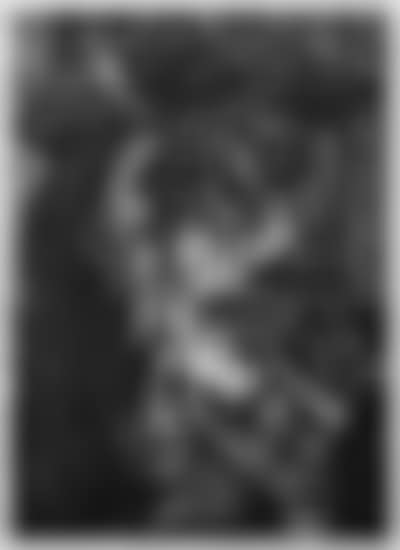 Study of Weeping Woman, 1937 (After Picasso) (preview)