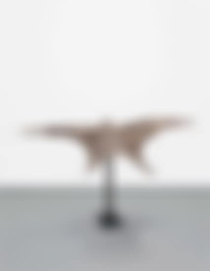 Bird 2 (preview)